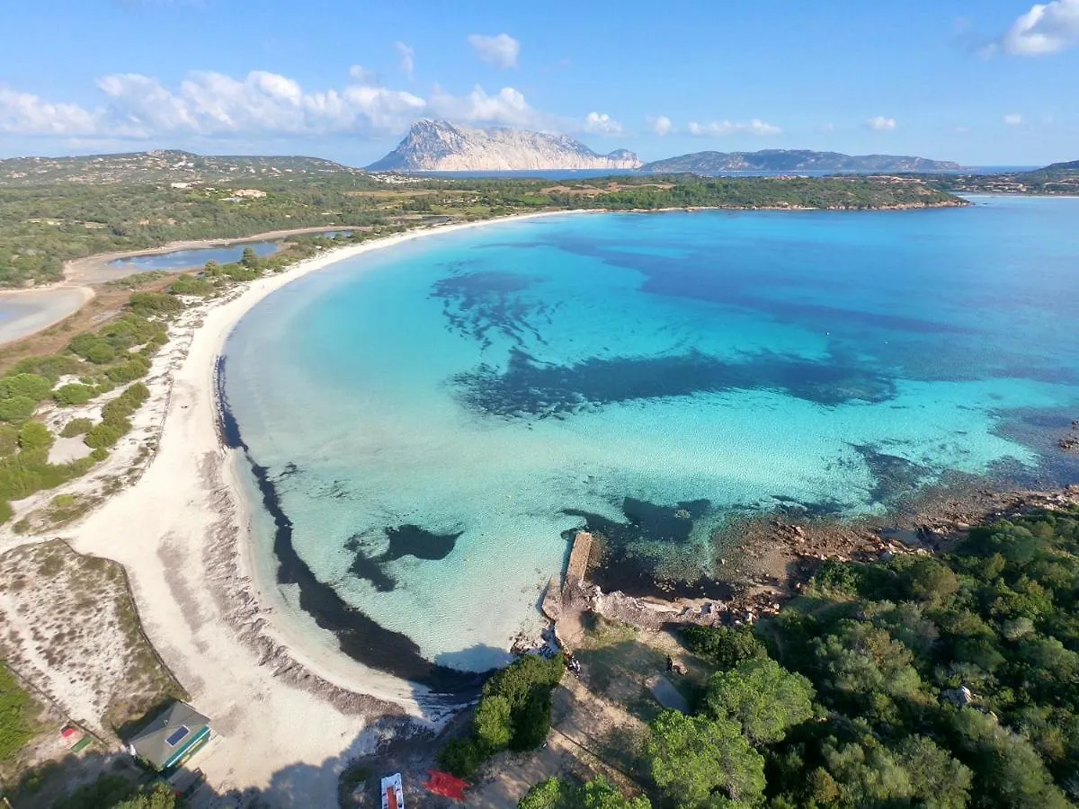 Iss Travel, Gli Asfodeli - Large Apartments With Private Terrace San Teodoro