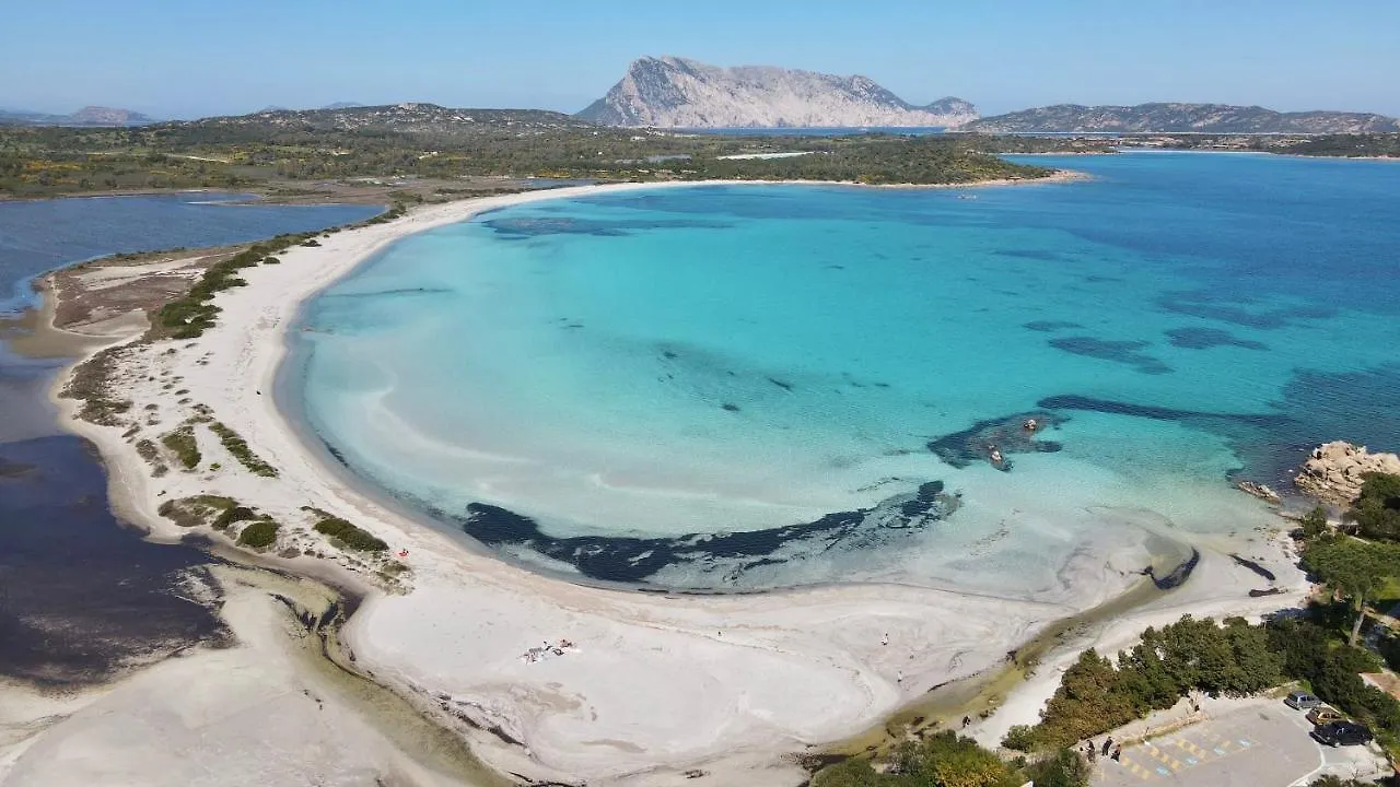 Iss Travel, Gli Asfodeli - Large Apartments With Private Terrace San Teodoro  Italia