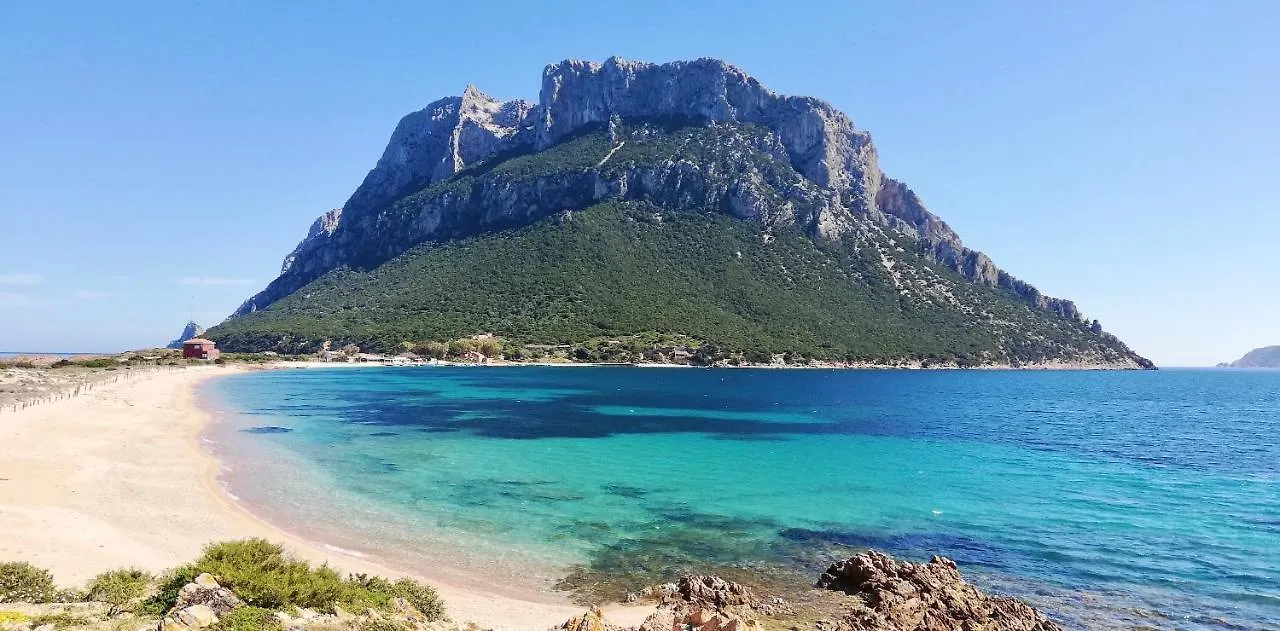 Iss Travel, Gli Asfodeli - Large Apartments With Private Terrace San Teodoro   San Teodoro (Sardinia)