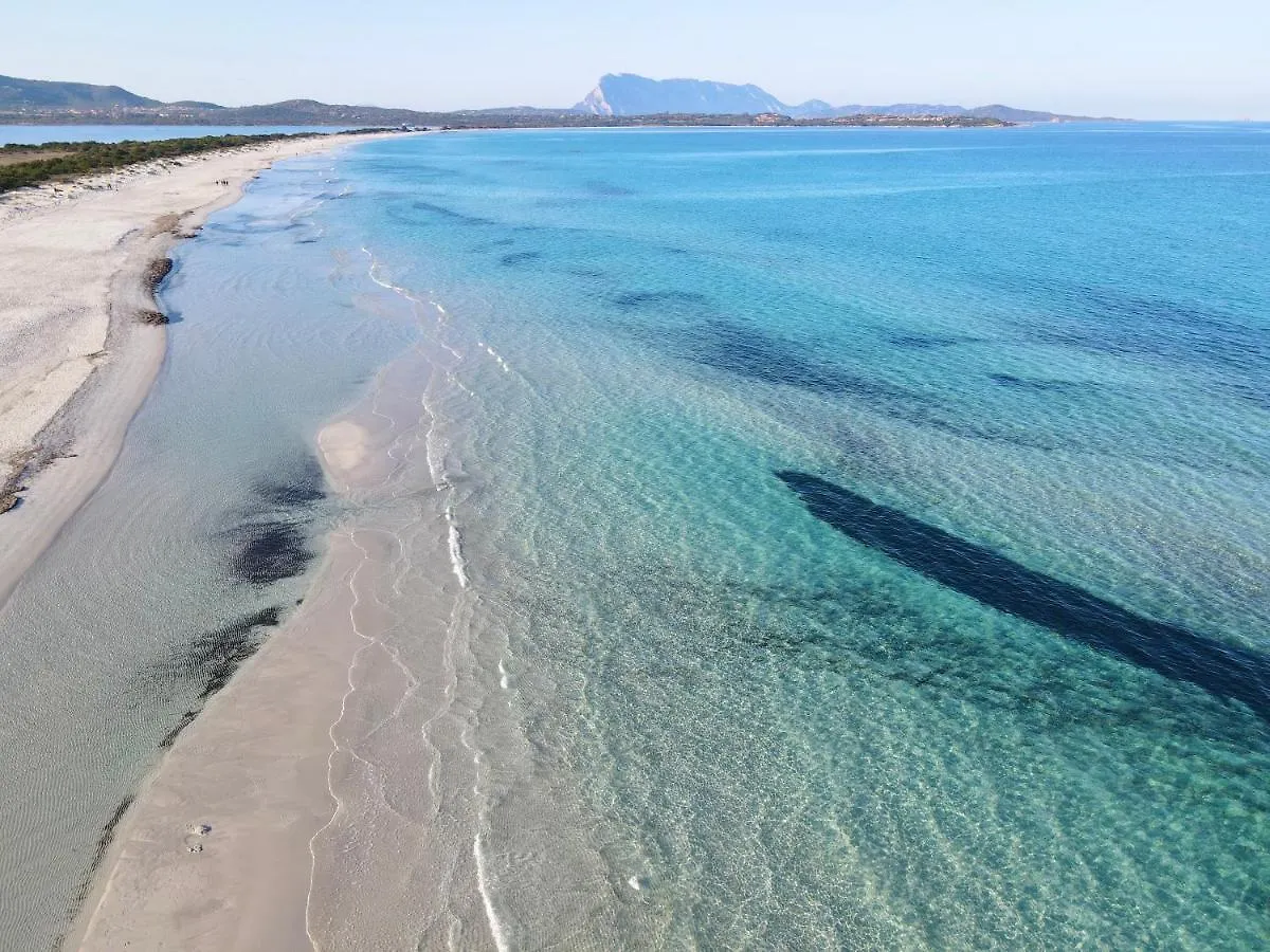 Iss Travel, Gli Asfodeli - Large Apartments With Private Terrace San Teodoro